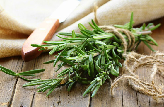 للبشرة والشعر والتنحيف.. إكليل الجبل عشبة سحرية بفوائد مذهلة! صورة رقم 11