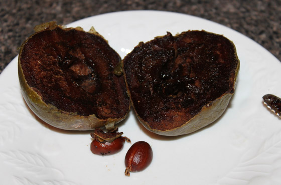 فاكهة الشوكولاتة الربانية: قليلة السعرات غنية بالألياف والفيتامينات صورة رقم 6