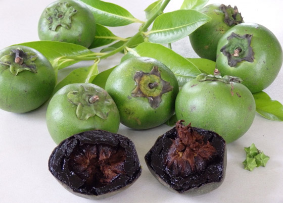 فاكهة الشوكولاتة الربانية: قليلة السعرات غنية بالألياف والفيتامينات صورة رقم 9