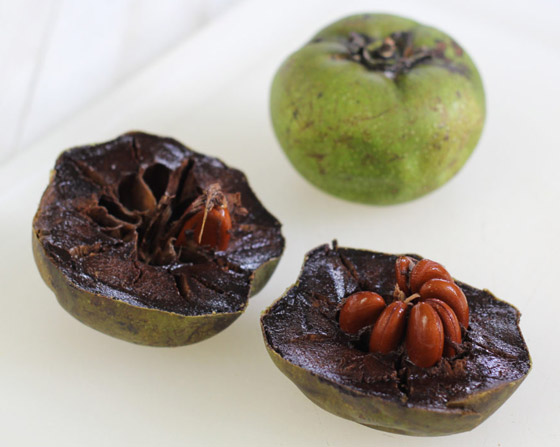 فاكهة الشوكولاتة الربانية: قليلة السعرات غنية بالألياف والفيتامينات صورة رقم 5