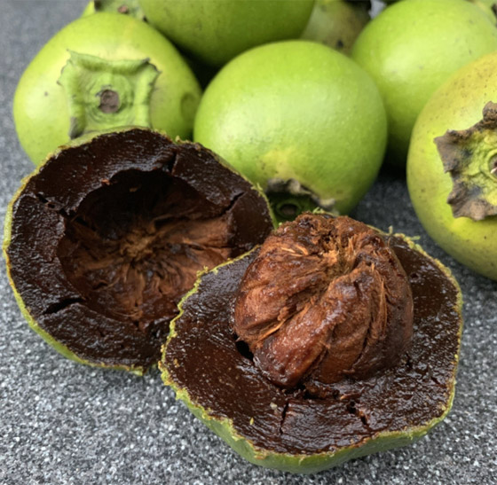 فاكهة الشوكولاتة الربانية: قليلة السعرات غنية بالألياف والفيتامينات صورة رقم 14
