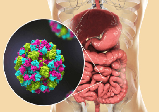 أطعمة يجب تناولها عند الإصابة ببرد المعدة.. ما هو هذا المرض الشائع؟ صورة رقم 14