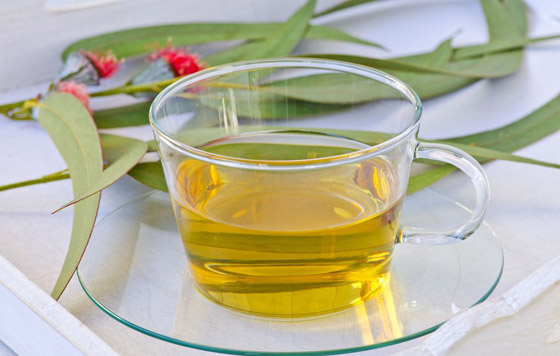 5 أنواع من الشاي تخفف أعراض الربو صورة رقم 4