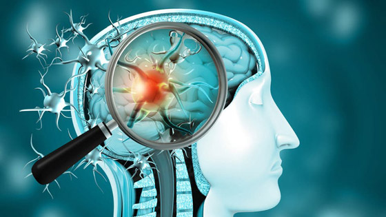 دراسة صادمة.. فيروس كورونا قادر على مهاجمة الدماغ صورة رقم 1
