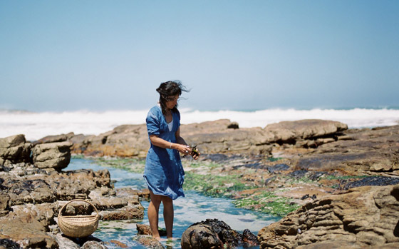 من البرية إلى المائدة.. طاهية تعيد صيحة البحث عن الطعام في جنوب أفريقيا صورة رقم 6