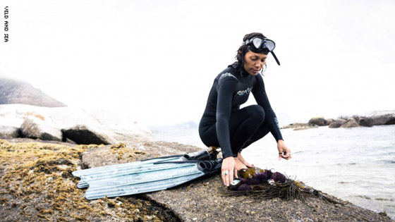 من البرية إلى المائدة.. طاهية تعيد صيحة البحث عن الطعام في جنوب أفريقيا صورة رقم 4