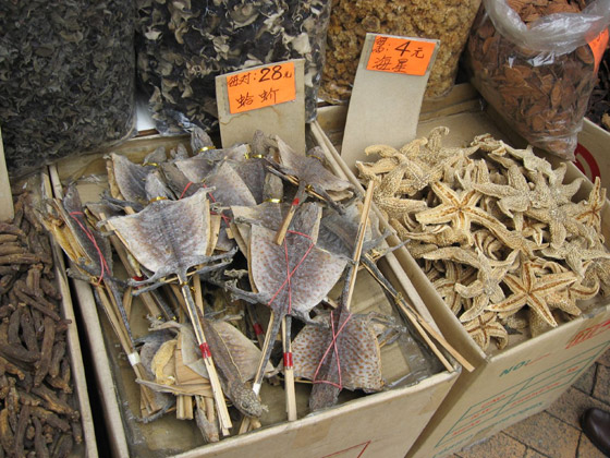 بالصور.. تعرفوا على أغرب الأكلات الشعبية حول العالم صورة رقم 7 بالصور.. تعرفوا على أغرب الأكلات الشعبية حول العالم صورة رقم 7