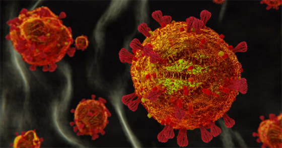 الكمامة تؤدي لاكتساب مناعة ضد عدوى كورونا والدليل: فيروس الجدري صورة رقم 6 الكمامة تؤدي لاكتساب مناعة ضد عدوى كورونا والدليل: فيروس الجدري صورة رقم 6