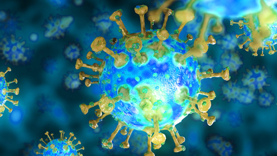 الكمامة تؤدي لاكتساب مناعة ضد عدوى كورونا والدليل: فيروس الجدري صورة رقم 7 الكمامة تؤدي لاكتساب مناعة ضد عدوى كورونا والدليل: فيروس الجدري صورة رقم 7