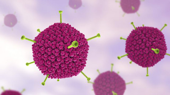 الكمامة تؤدي لاكتساب مناعة ضد عدوى كورونا والدليل: فيروس الجدري صورة رقم 8 الكمامة تؤدي لاكتساب مناعة ضد عدوى كورونا والدليل: فيروس الجدري صورة رقم 8