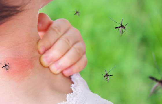 5 طرق طبيعية وحيل لمنع البعوض من الاقتراب منك! صورة رقم 1