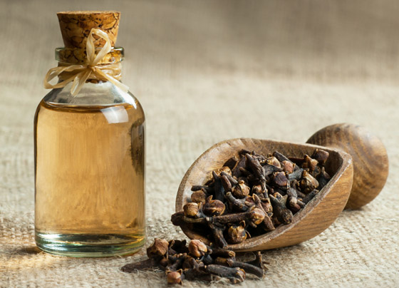 5 طرق طبيعية وحيل لمنع البعوض من الاقتراب منك! صورة رقم 3