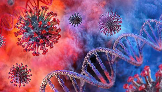 وباء فيروس كورونا.. الإصابات نحو 29 مليونا والوفيات قريب المليون صورة رقم 2