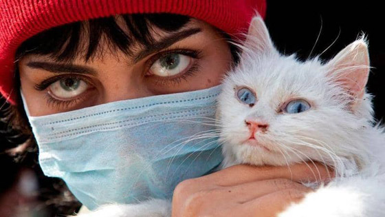 هل ينتقل كورونا من الإنسان للحيوان؟.. دراسة تحسم الجدل صورة رقم 2