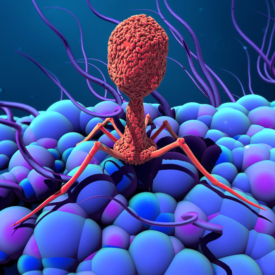 انتشار فيروس جديد في الصين بسبب تسرب من مختبر اللقاحات! صورة رقم 1