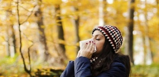 حساسية الخريف: الأعراض، العلاج صورة رقم 1