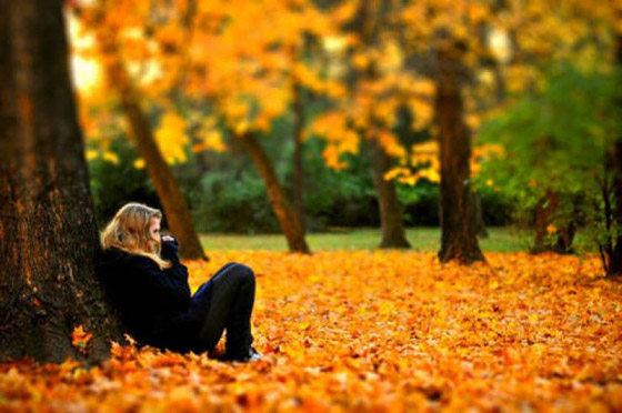 حساسية الخريف: الأعراض، العلاج صورة رقم 3