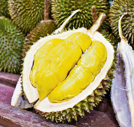 الدوريان: فاكهة استوائية باهظة الثمن، رائحتها كريهة ودورة حياتها قصيرة صورة رقم 8