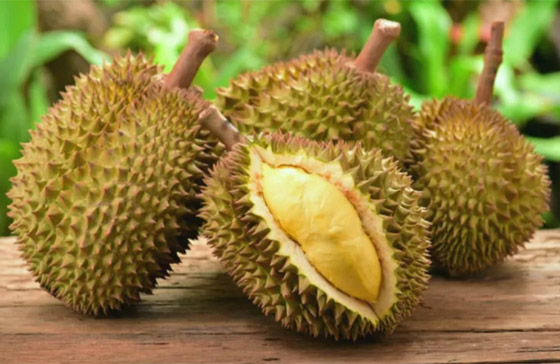 الدوريان: فاكهة استوائية باهظة الثمن، رائحتها كريهة ودورة حياتها قصيرة صورة رقم 9