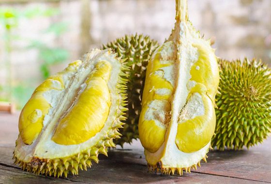 الدوريان: فاكهة استوائية باهظة الثمن، رائحتها كريهة ودورة حياتها قصيرة صورة رقم 3