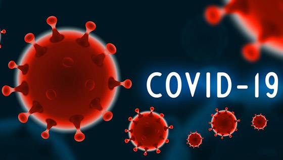 كورونا: الأكثر فتكا بين الأوبئة القاتلة.. والإصابات تتخطى حاجزا جديدا صورة رقم 11