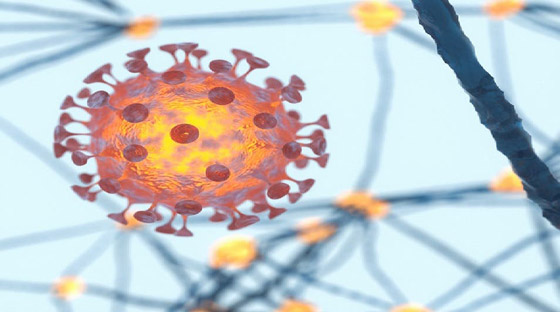 خبر حزين.. كورونا يخرج من جسدك ويترك قلبك يتألم صورة رقم 3