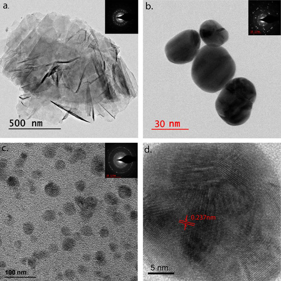 وفاة كل 16 ثانية.. ماذا يفعل فيروس كورونا الآن بالكرة الأرضية؟ صورة رقم 6 وفاة كل 16 ثانية.. ماذا يفعل فيروس كورونا الآن بالكرة الأرضية؟ صورة رقم 6