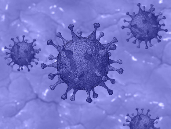 وفاة كل 16 ثانية.. ماذا يفعل فيروس كورونا الآن بالكرة الأرضية؟ صورة رقم 17 وفاة كل 16 ثانية.. ماذا يفعل فيروس كورونا الآن بالكرة الأرضية؟ صورة رقم 17