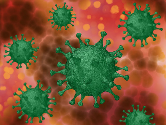 وفاة كل 16 ثانية.. ماذا يفعل فيروس كورونا الآن بالكرة الأرضية؟ صورة رقم 18 وفاة كل 16 ثانية.. ماذا يفعل فيروس كورونا الآن بالكرة الأرضية؟ صورة رقم 18