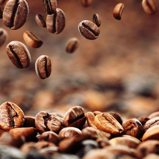 في يوم القهوة العالمي.. العرب أول من زرعوها والبابا وصفها بالشيطانية! صورة رقم 4 في يوم القهوة العالمي.. العرب أول من زرعوها والبابا وصفها بالشيطانية! صورة رقم 4