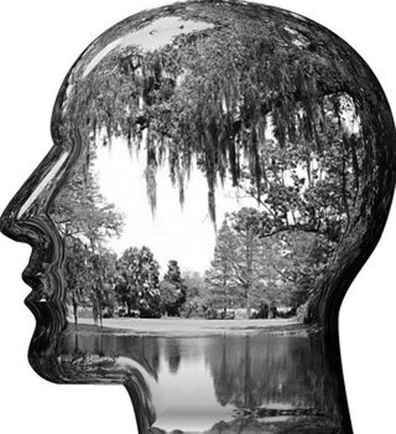 لعلاج الخرف والصرع.. تقنية تحول الأفكار لصور صورة رقم 1