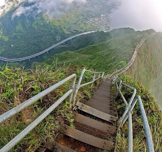 صورة رقم 1 - السلم للجنة والغابة الملتوية.. إليكم أغرب الأماكن السياحية في العالم صورة رقم 1 - السلم للجنة والغابة الملتوية.. إليكم أغرب الأماكن السياحية في العالم