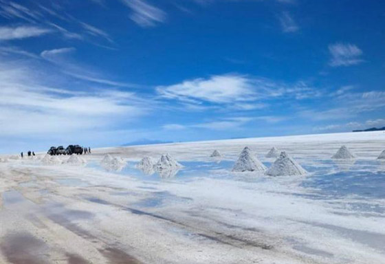 صورة رقم 5 - السلم للجنة والغابة الملتوية.. إليكم أغرب الأماكن السياحية في العالم صورة رقم 5 - السلم للجنة والغابة الملتوية.. إليكم أغرب الأماكن السياحية في العالم