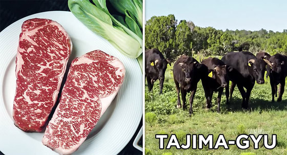 صور: تعرفوا على الأطعمة التي يمكن للأثرياء فقط تحمّل تكلفتها وتجربتها صورة رقم 5