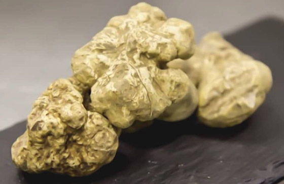 صور: تعرفوا على الأطعمة التي يمكن للأثرياء فقط تحمّل تكلفتها وتجربتها صورة رقم 8