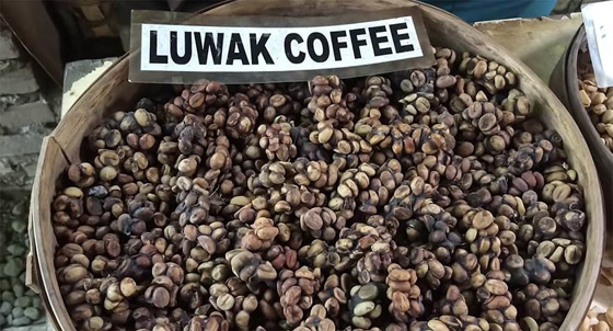 صور: تعرفوا على الأطعمة التي يمكن للأثرياء فقط تحمّل تكلفتها وتجربتها صورة رقم 9