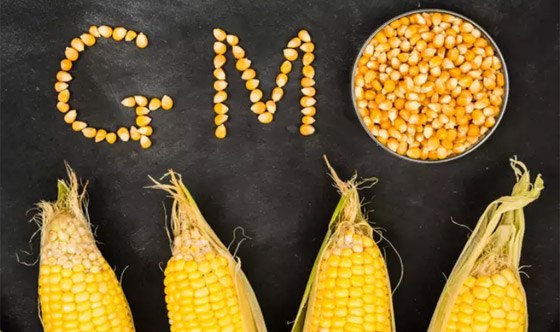 حمية جنرال موتورز: خطة مفصّلة لخسارة 7 كيلوغرامات خلال أسبوع فقط صورة رقم 6