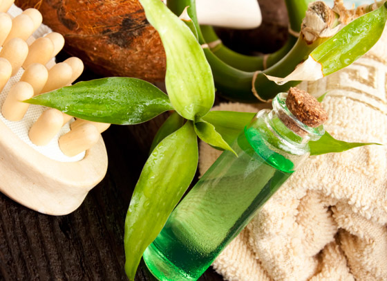 5 نباتات طبية بالطبيعة فوائدها مؤكدة: تقي من السرطان وتعالج حب الشباب صورة رقم 8