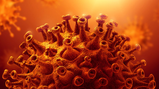 دراسة جديدة صادمة تكشف مدة بقاء كورونا على أسطح الأموال والزجاج! صورة رقم 7