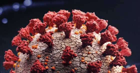 شاب يصاب بفيروس كورونا مرتين والعدوى الثانية أكثر وأشد خطورة! صورة رقم 1 شاب يصاب بفيروس كورونا مرتين والعدوى الثانية أكثر وأشد خطورة! صورة رقم 1