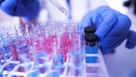 أيأتي الفرج من إيبولا؟.. خلايا فتاكة قد تقتل كورونا! صورة رقم 4