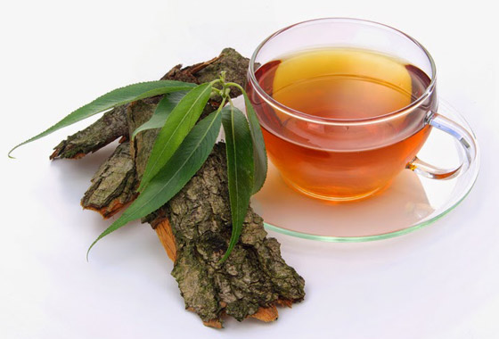 إليكم 6 أنواع من شاي الأعشاب لتخفيف أعراض الصداع صورة رقم 4