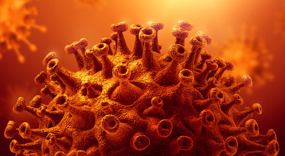 قفزة غير مسبوقة.. نصف مليون إصابة بفيروس كورونا في يوم واحد صورة رقم 2