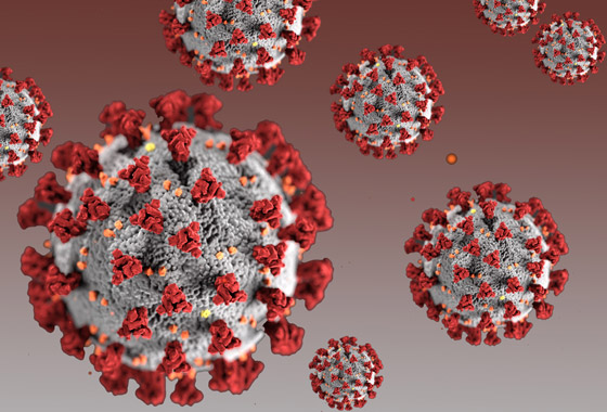 قفزة غير مسبوقة.. نصف مليون إصابة بفيروس كورونا في يوم واحد صورة رقم 5