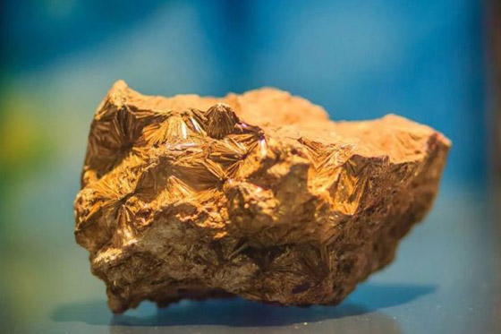 تعرفوا على العناصر الغريبة التي تضاف إلى اللقاحات..! صورة رقم 3