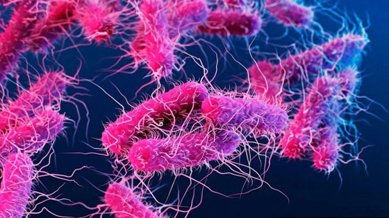 تعرفوا على العناصر الغريبة التي تضاف إلى اللقاحات..! صورة رقم 7