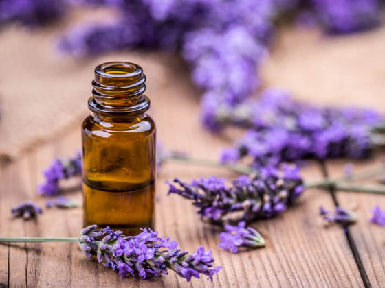 من نمو الشعر إلى علاج حب الشباب .. 6 فوائد مذهلة لزيت اللافندر صورة رقم 2