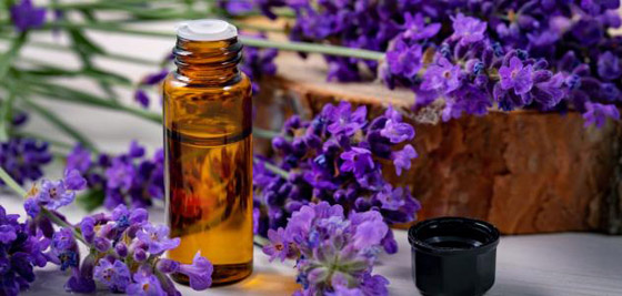 من نمو الشعر إلى علاج حب الشباب .. 6 فوائد مذهلة لزيت اللافندر صورة رقم 1