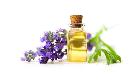 من نمو الشعر إلى علاج حب الشباب .. 6 فوائد مذهلة لزيت اللافندر صورة رقم 5