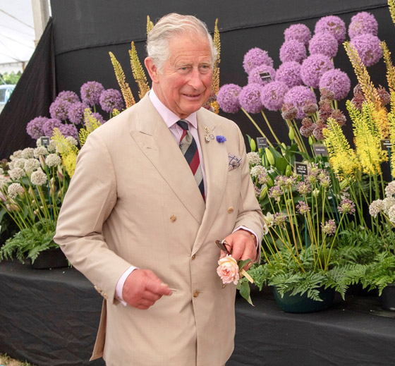 مجلة فوغ: ولي العهد الأمير تشارلز أكثر رجال بريطانيا أناقة.. صور صورة رقم 7